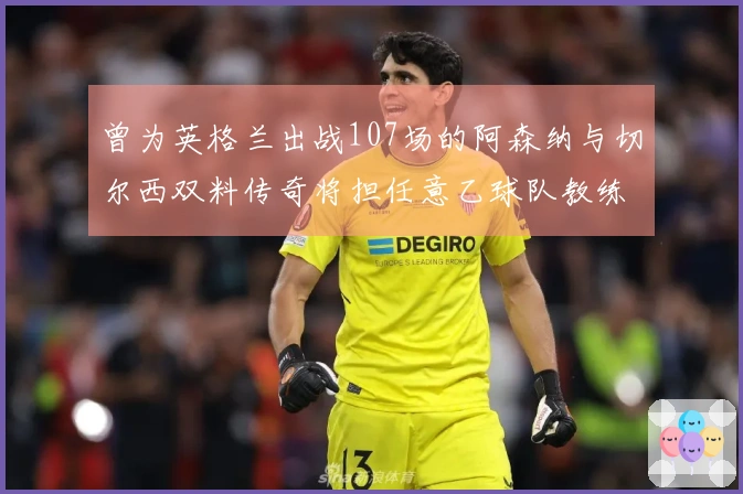 曾为英格兰出战107场的阿森纳与切尔西双料传奇将担任意乙球队教练